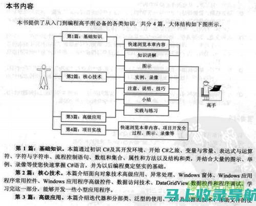 从入门到精通：站长之家个人简历模板使用指南