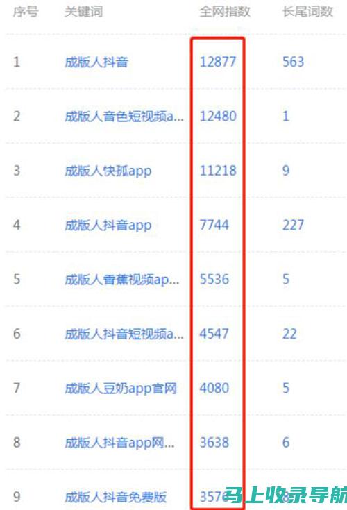 站长大全实战案例解析：从成功案例中汲取经验智慧